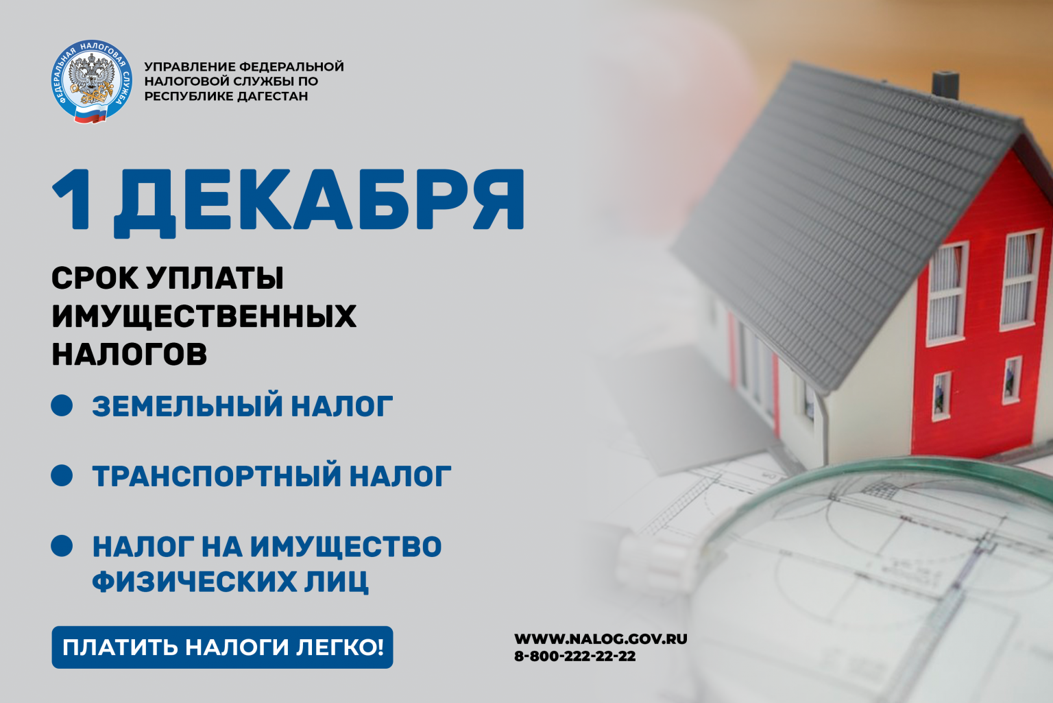 Почему важно вовремя платить имущественные налоги