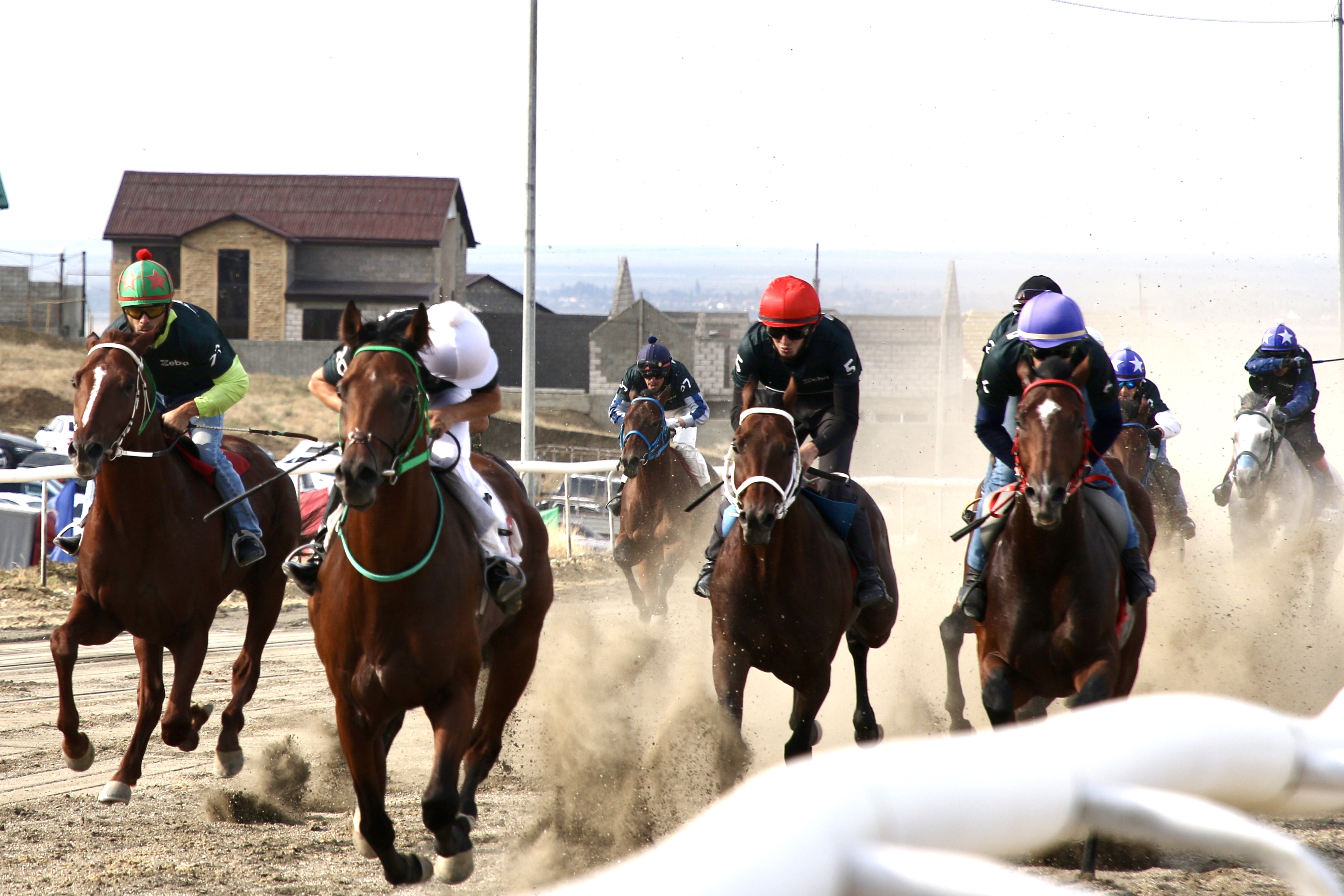 Конные скачки прошли в Махачкале в День единства народов Дагестана