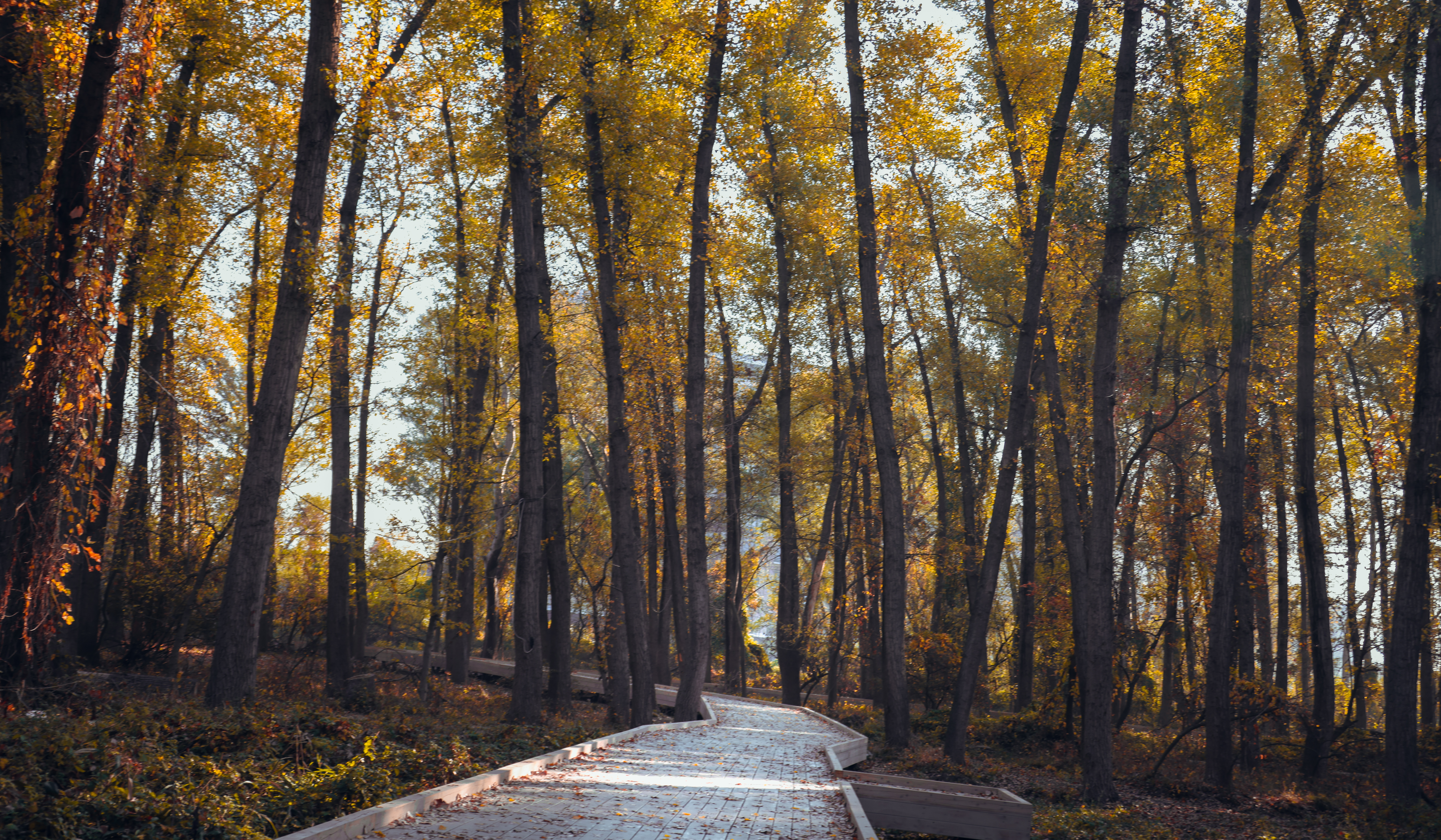 Петербуржцы намерены спрятаться от холодной осени в Дагестане
