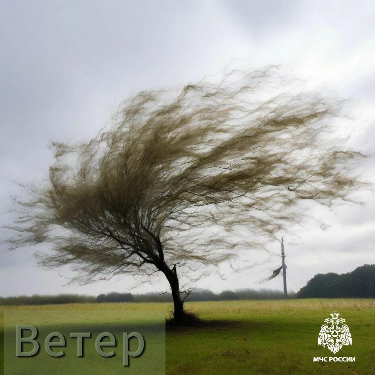 По районам Дагестана ожидается  сильный ветер с