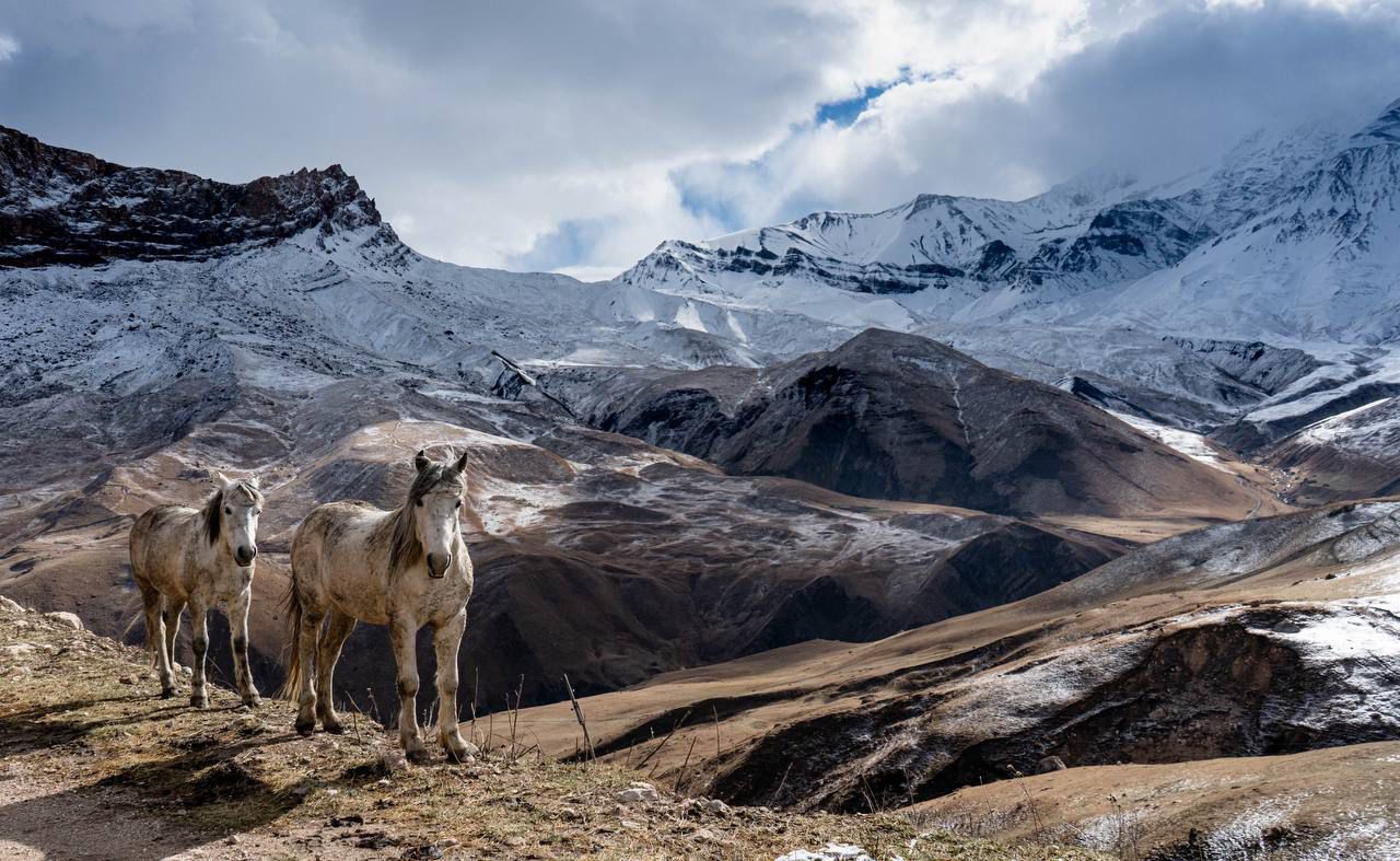 Международный день гор