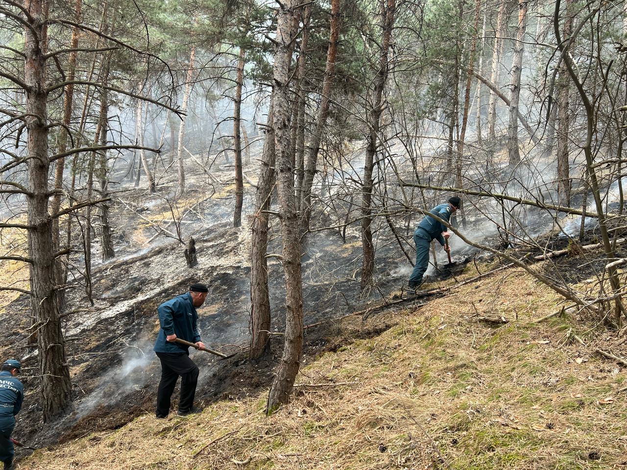 Осторожно: сухая трава!
